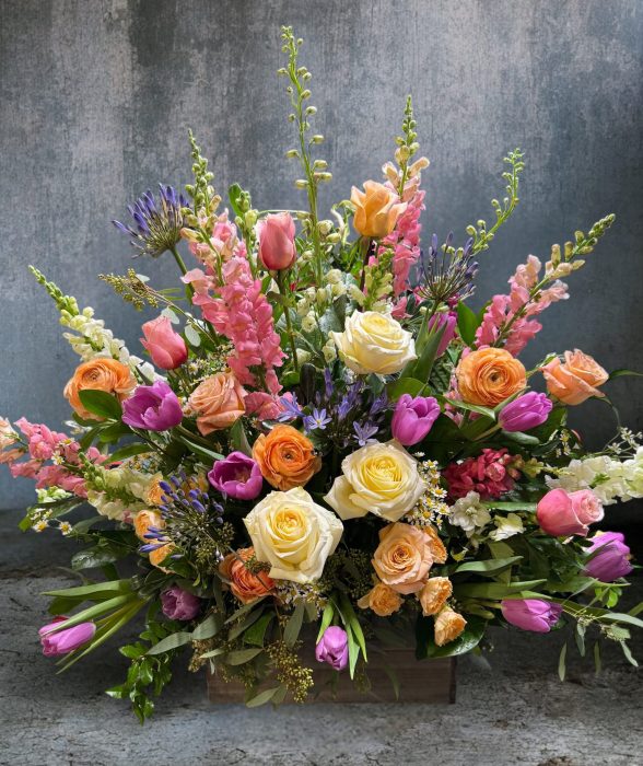 Holland Blooms