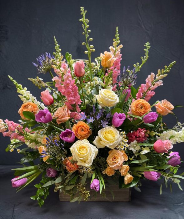 Holland Blooms